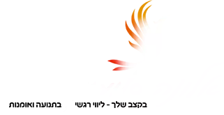 Logo Alona Salomon