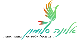 Logo Alona Salomon